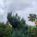 ���� �����, ���������, 50 ��� - ��������� 24 ������� 2025 � ������ �������� �������..�