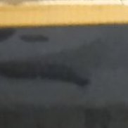 ����, 54 ����, �����������