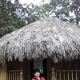 �������, ��������, 68 ���