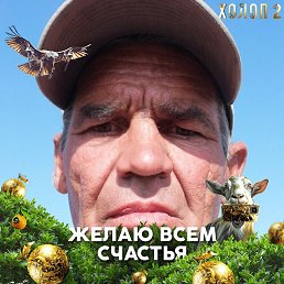 , 51, 