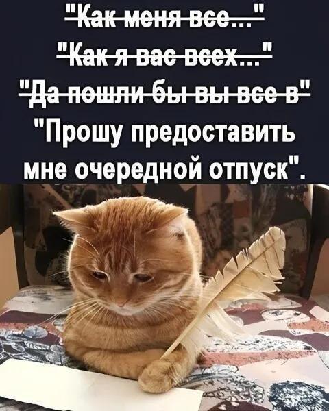 �������� - 25 ���� 2026 � 15:03