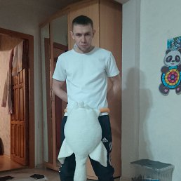 ���������, 36 ���, ����������