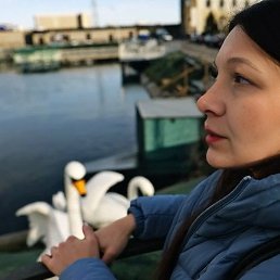 ����� ���, ������, 51 ���