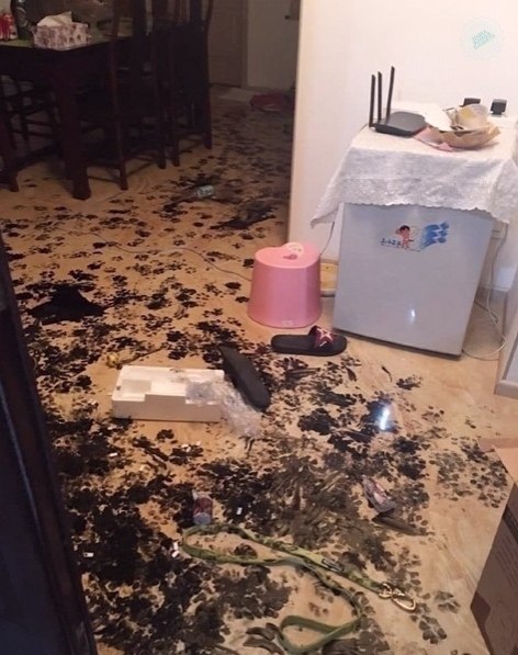 o��a �o���� ���e� �a �o��ac��a � �a�a���... - 3