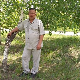 ������, 48 ���, ������������