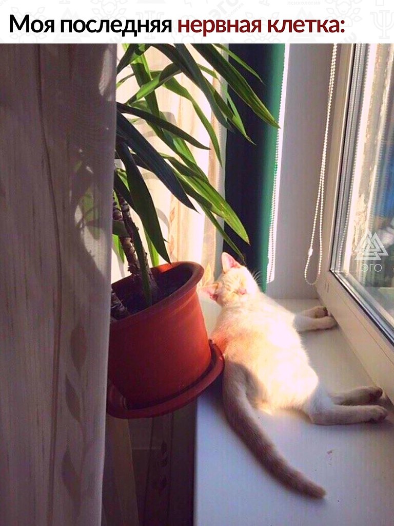 -,     