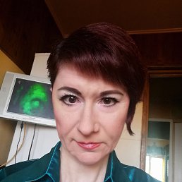  , --, 50  -  31  2025