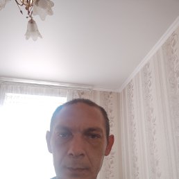 , 41 , 