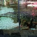 ���� �����, ��������, 47 ��� - ��������� 18 ���� 2025 � ������ ���� ����������