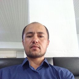 , 37, 