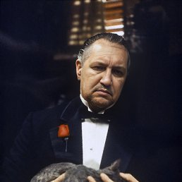 ���� Walera, ����, 48 ��� - ��������� 12 ����� 2025