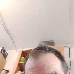 , 44, 