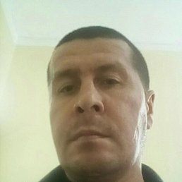 �������� ��������, 49 ���, ���������