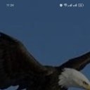 ���� �����, �������, 47 ��� - ��������� 6 ���� 2025