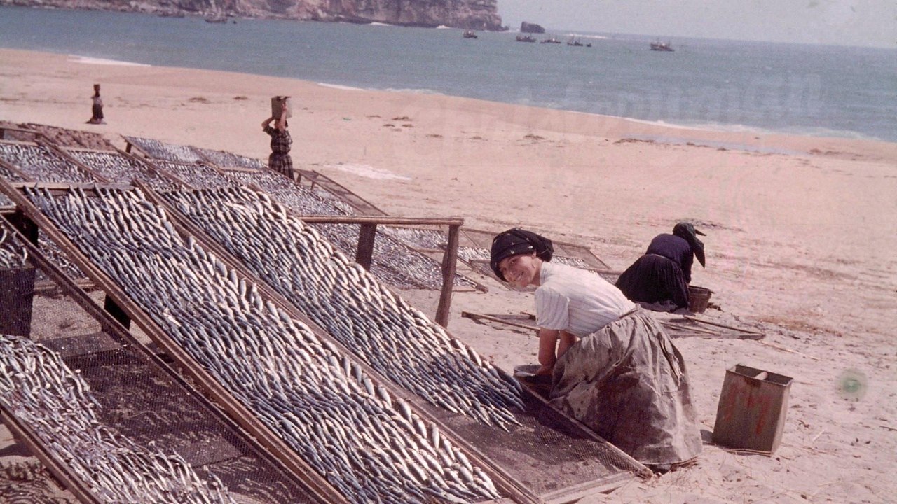 ,     , ,  1960-