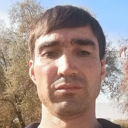 ��������, �������, 37 ���