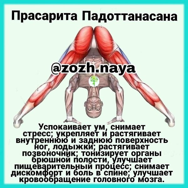 ��������� �������������.����������� ��, ������� ������; ��������� � ����������� ���������� � ������ ...