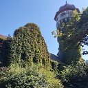 ���� �������, �����, 62 ���� - ��������� 1 �������� 2025 � ������ ���� ����������