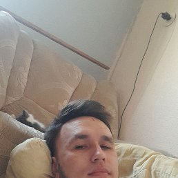 , 26, 