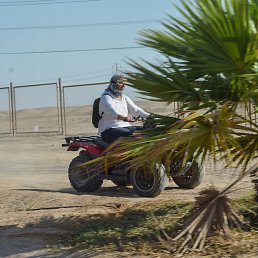 �����, ������, 41 ���