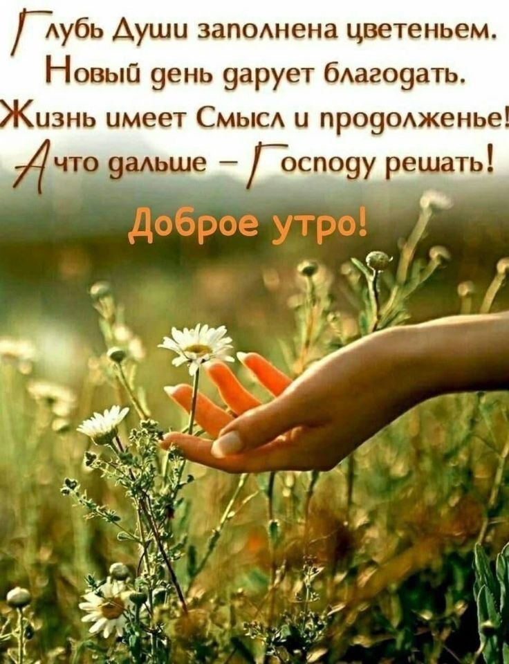 Всё будет хорошо! - 11 августа 2025 в 08:06