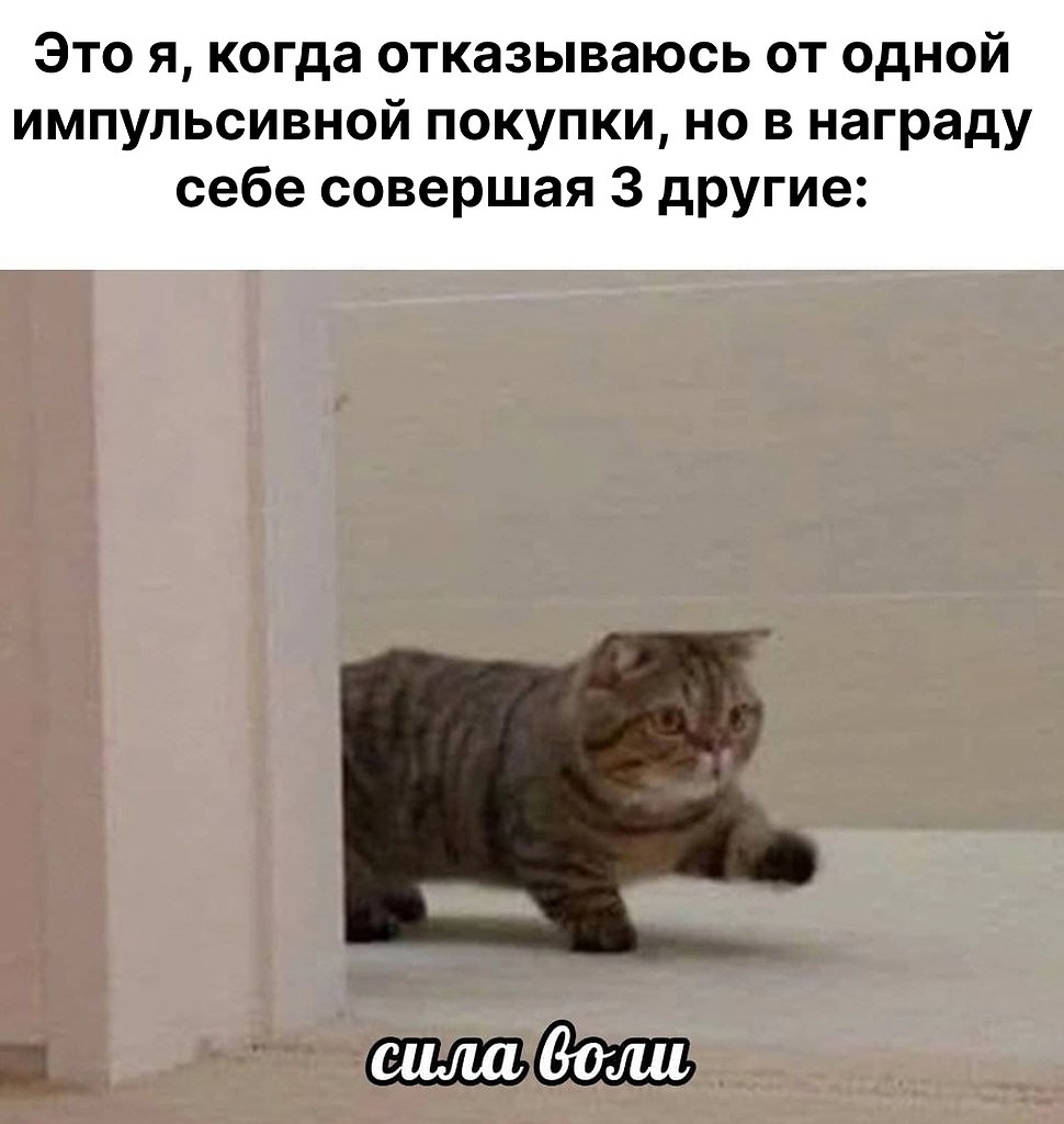    -?     ,   300+  .  ,  ...