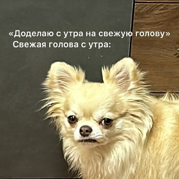 ��� - 18 ������ 2025 � 22:48