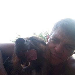 , 41, 