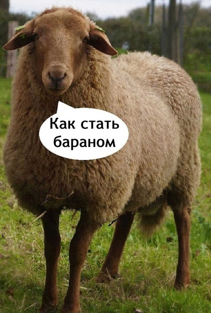 Не листайте этот пост - 2
