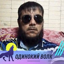 , 38, 