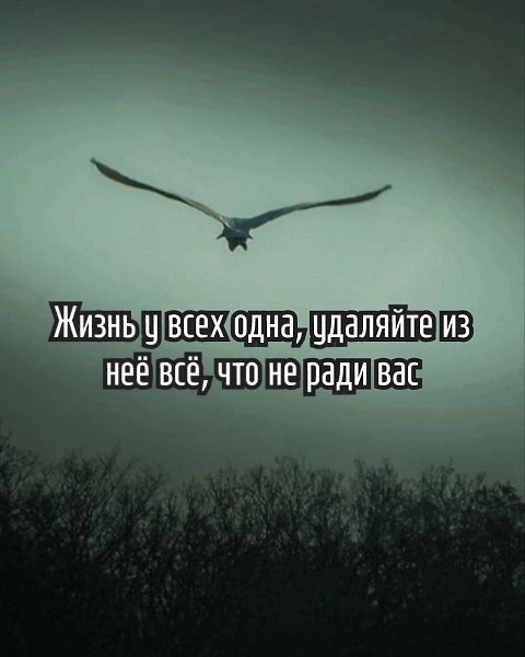  - 1  2025  07:26