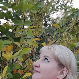 �������, ���������, 53 ����