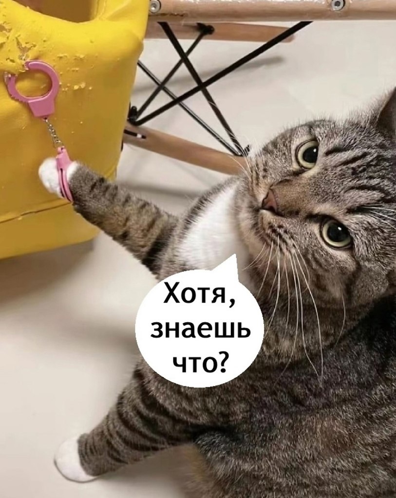 ,   ! - 4