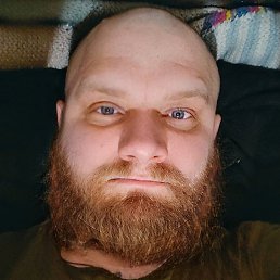 ���������, ���������, 41 ���