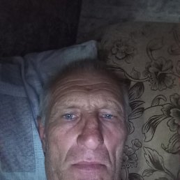 , 56 , 