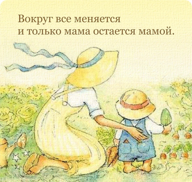   - 29  2025  12:50