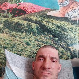 ������, 38 ���, ������