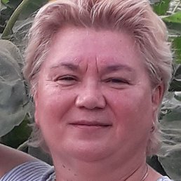 ��������, ����, 64 ����