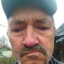 , 58 , 