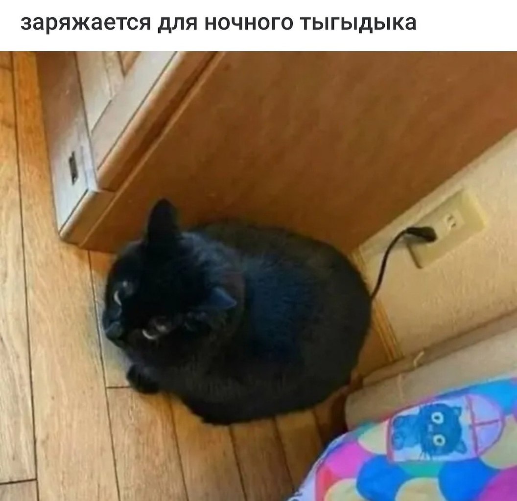   - 17  2024  18:02