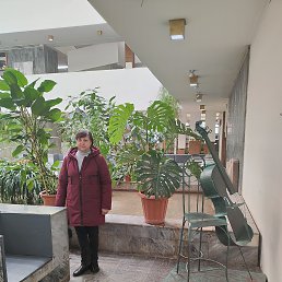 ���� �������, ������-��-����, 59 ��� - ��������� 4 ������ 2025