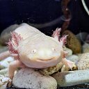 ���� �������, ������, 50 ��� - ��������� 25 ����� 2026 � ������ ���� ����������