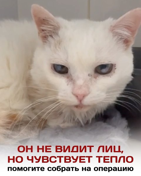 �� �� ����� ����� ���. �� ����� ������������ �� ����. �� �� ���������, ����� ��� ������ �� ����� ...