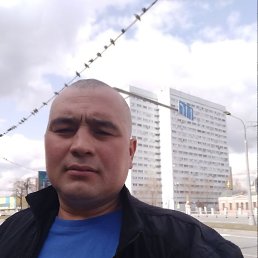 , 33 , 