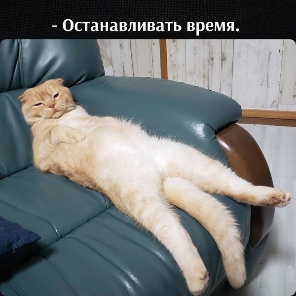       - 3  2025  17:30 - 2