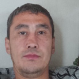 ������, ������, 37 ���