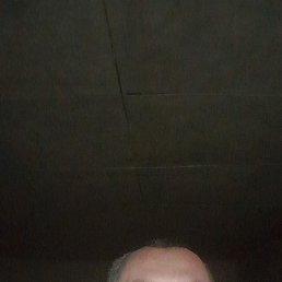 �����, 40 ���, �������