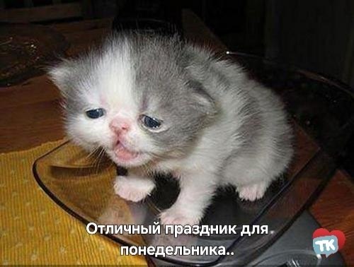 Сегодня отмечается День профессионального выгорания.Праздник призван обратить внимание на проблему ...