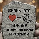 ���� �����, ����������� - ��������� 28 ���� 2026 � ������ ������ ��������
