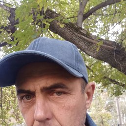 ��������, 46 ���, ������